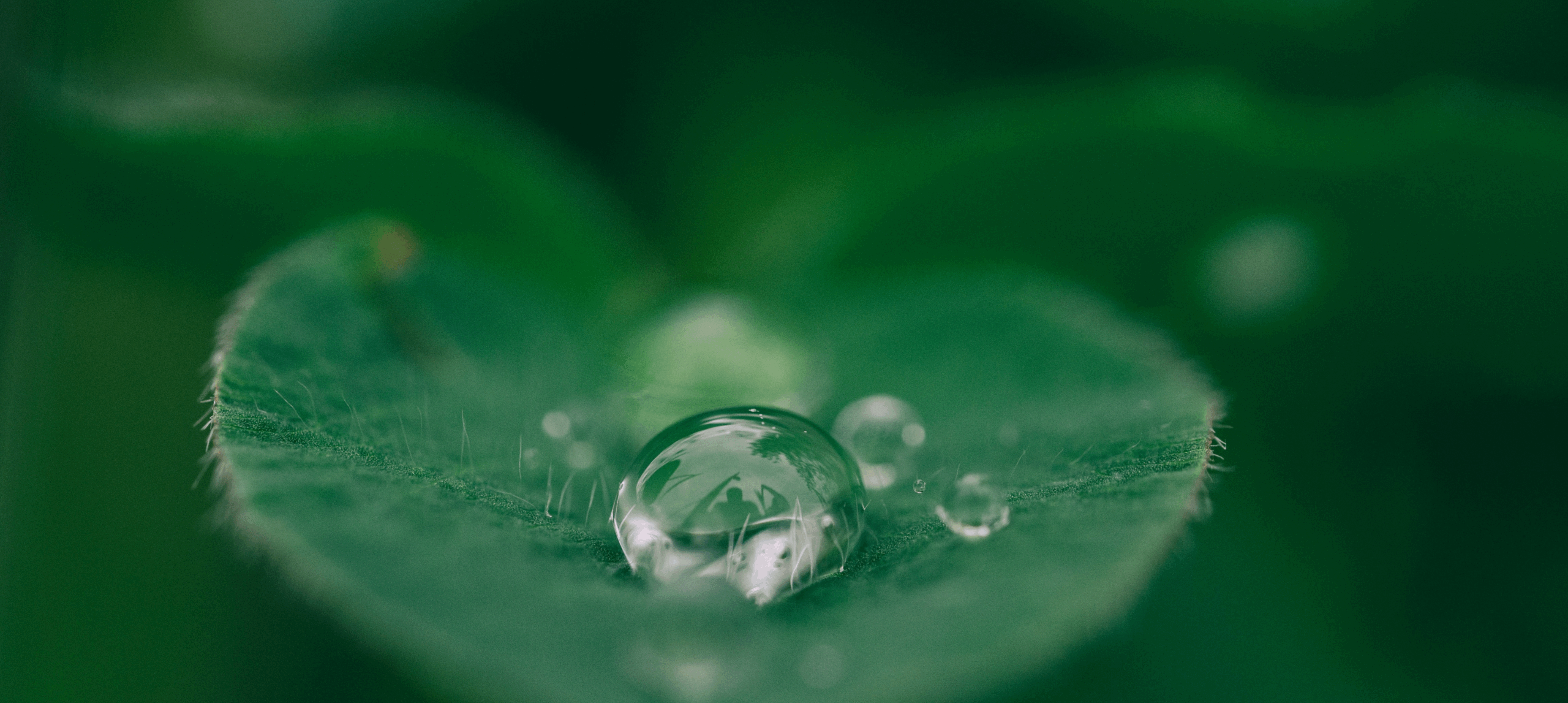  Elettromeccanica Veneta