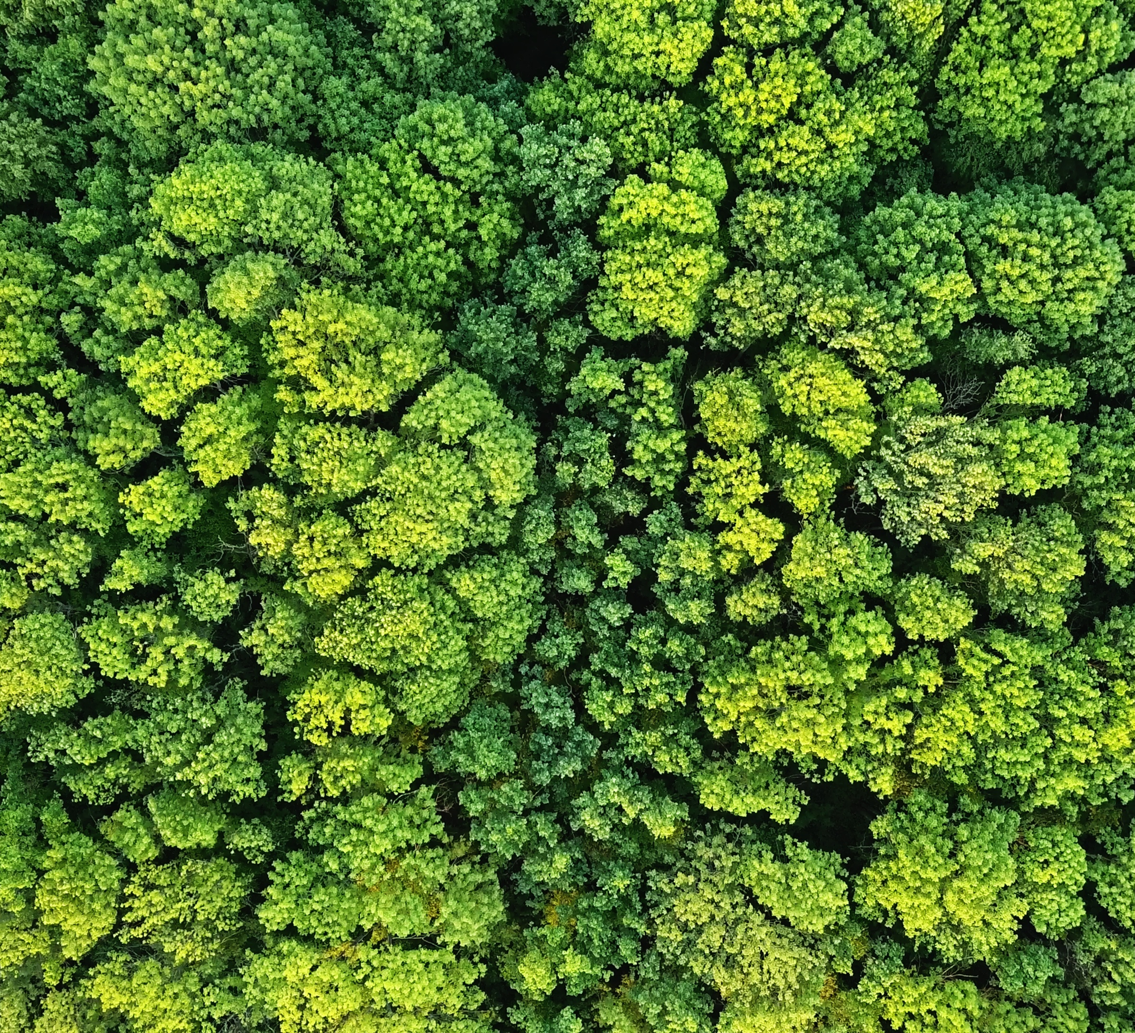  Elettromeccanica Veneta